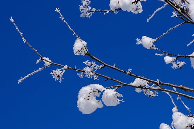 青空