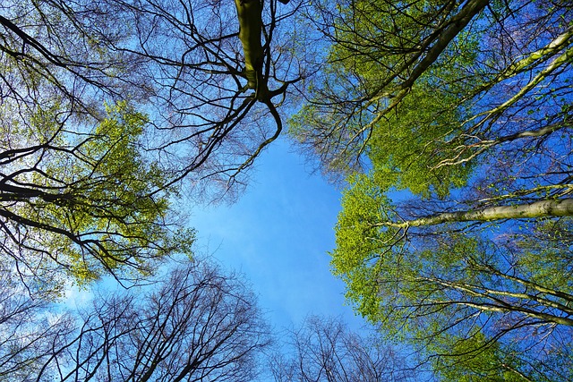 青空