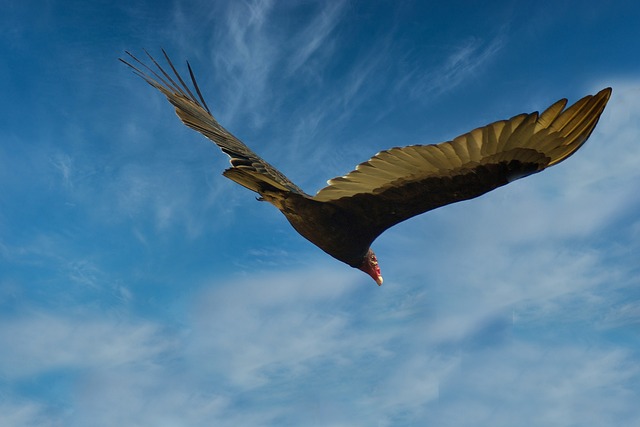 青空