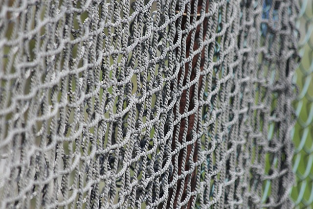 fencing