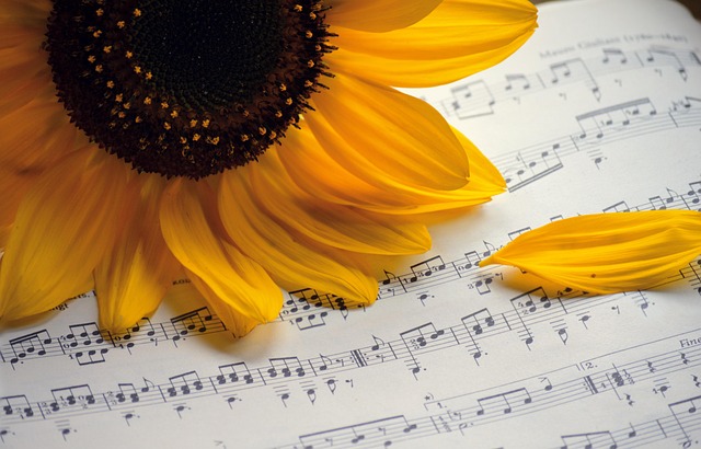 music