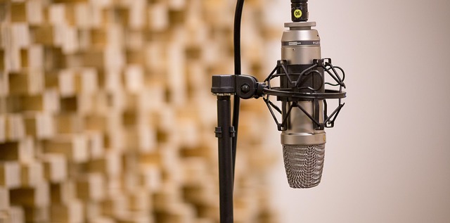 voice