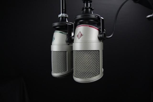 voice
