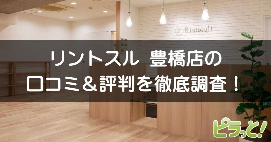 リントスル 豊橋店