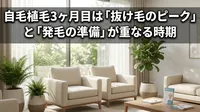 自毛植毛3ヶ月目は「抜け毛のピーク」と「発毛の準備」が重なる時期
