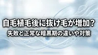 自毛植毛後に抜け毛が増加？失敗と正常な暗黒期の違いや対策