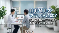 自毛植毛のグラフトとは？必要な株数とカバーできる面積の目安を徹底解説