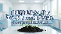 自毛植毛後3ヶ月で生えるまでの経過とは？ショックロスの真実