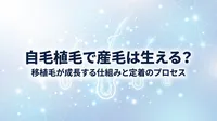 自毛植毛で産毛は生える？移植毛が成長する仕組みと定着のプロセス