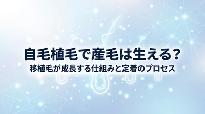 自毛植毛で産毛は生える？移植毛が成長する仕組みと定着のプロセス