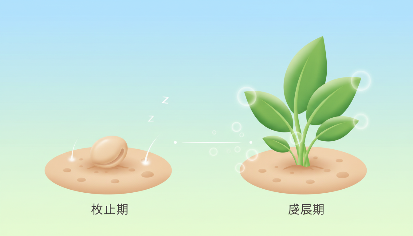 一時的な脱毛現象であるショックロスと、その後の新しい発毛サイクルを視覚的に分かりやすく説明する概念的な図解イラスト。左側には「休止期」を表す土の中で眠る種、右側には「成長期」を表す力強く芽吹く若葉を描