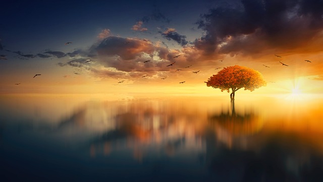 Dreams