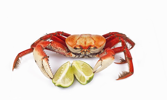 crabs