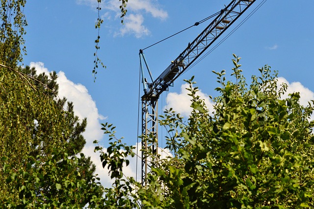 cranes