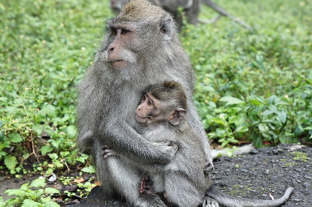 motherhood