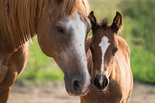 motherhood